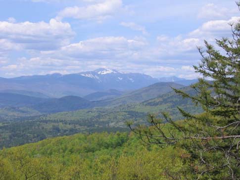 View of Mount Washington (photo by Mark Malnati)