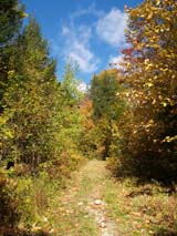 Trail #1 (photo by Webmaster)