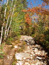 Rocks and slabs on upper section of Trail #1 (photo by Webmaster)