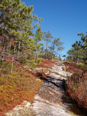 Slabs on Trail #1 (photo by Webmaster)