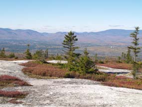 View from summit slabs (photo by Webmaster)