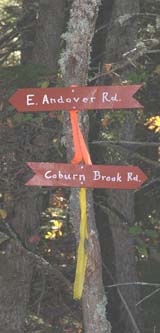 Junction of Trail #1 and Trail #2 (photo by Webmaster)