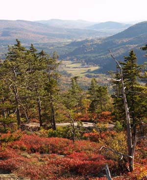 View from Trail #2 (photo by Webmaster)